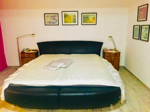 Status Apartments 布莱德 外观 照片